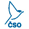 cso.png